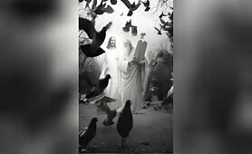 2_man_in_a_park__surrounded_by_birds_flying_overhead__is_photographed_with_an_analog_ca1751149431922