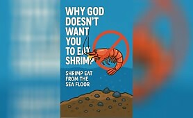 Shirmps_swims_to_floor_and_bites_eat_few_times_eating_leftover1751059864441